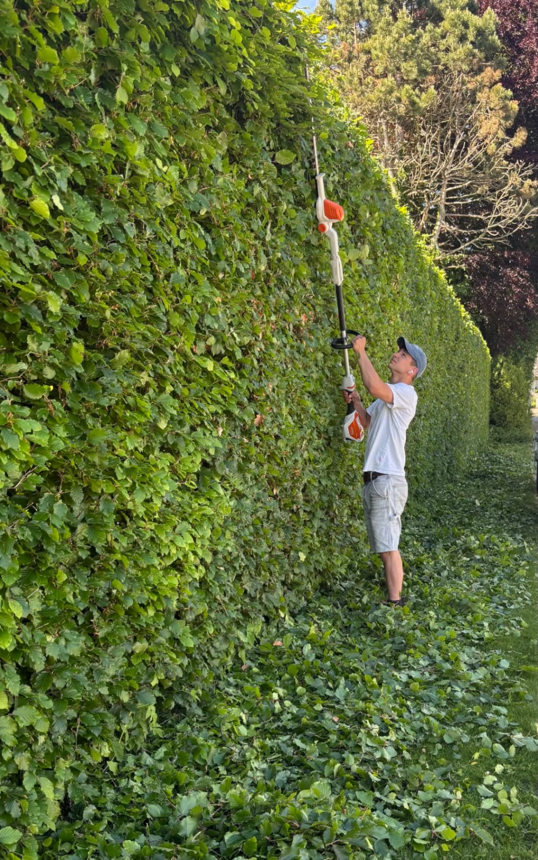 Frode klipper hæk med Stihl stangklipper
